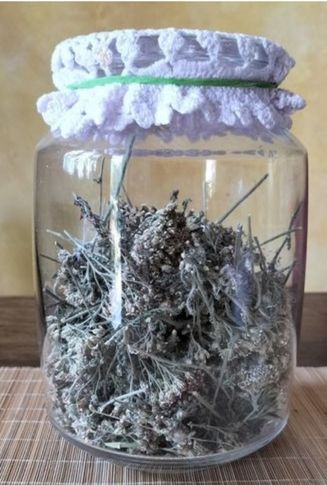 achillea millefolium essiccata in barattolo