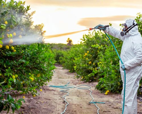 pesticidi su alberi di frutta